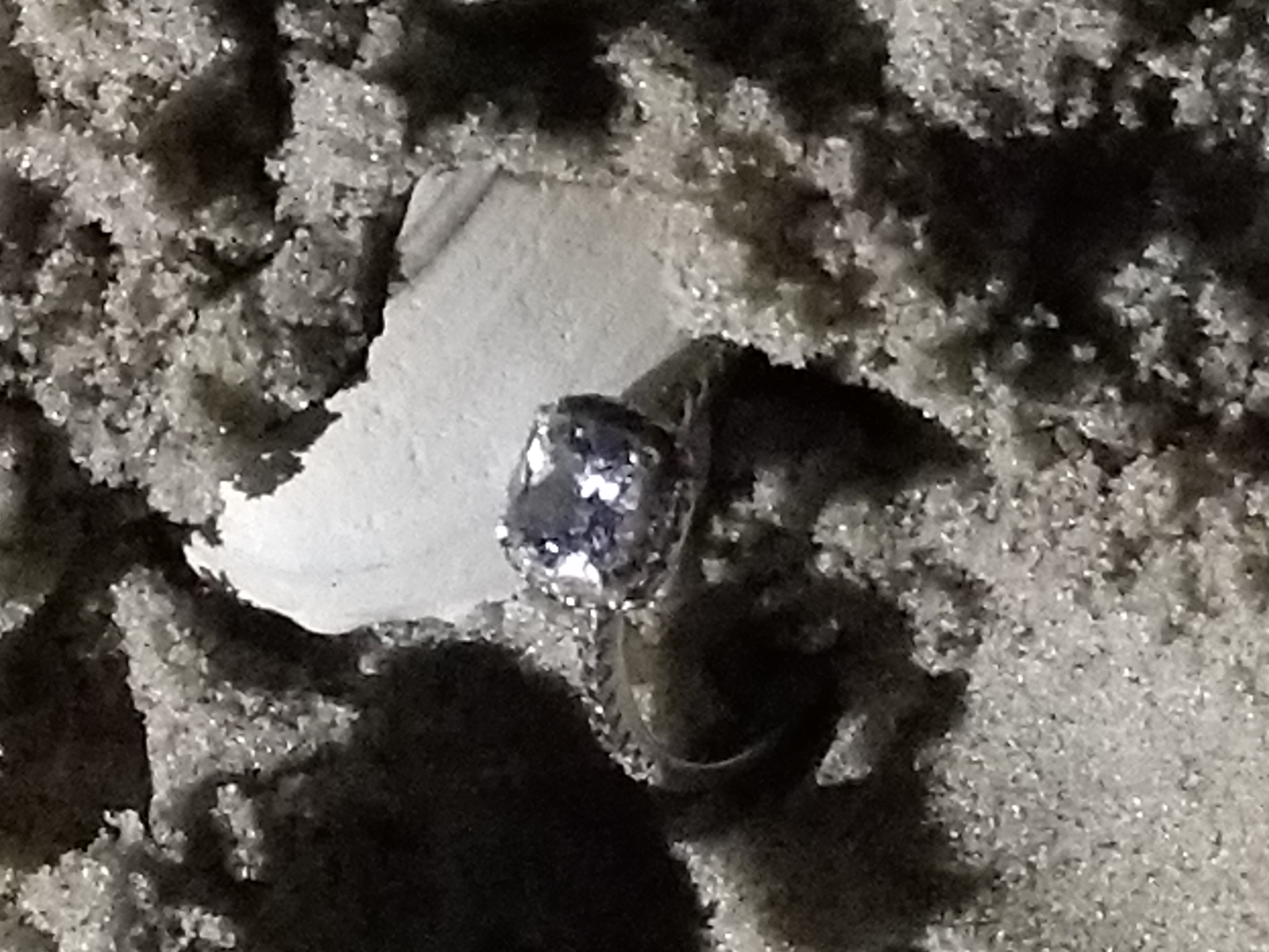 lost engagement ring sea isle city nj