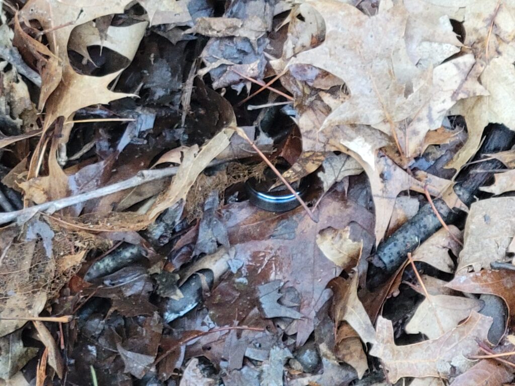 ring lost in leaves new jersey