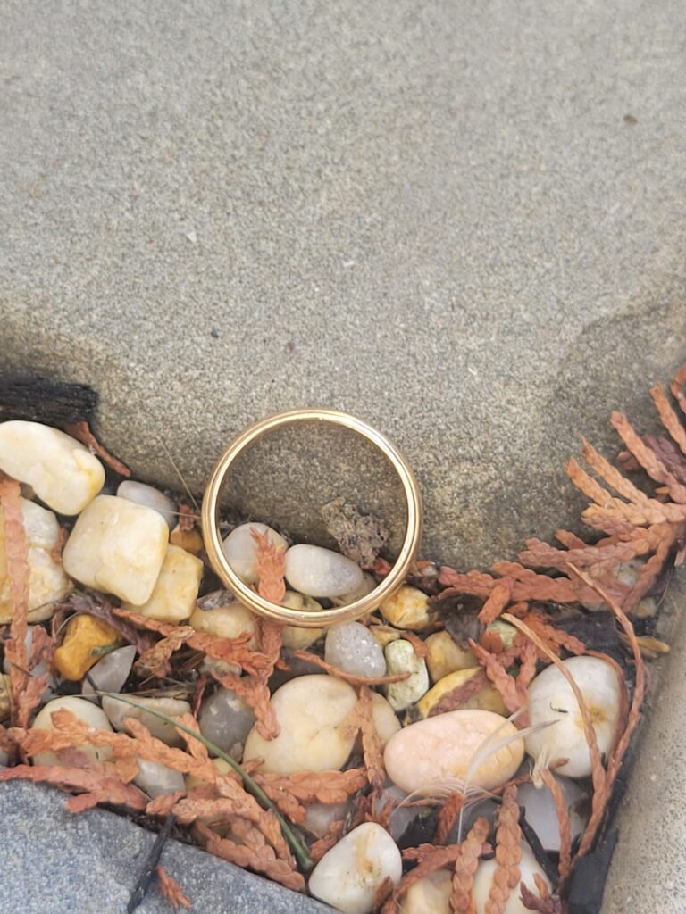 Ring Finders Avalon find my lost ring with metal detector