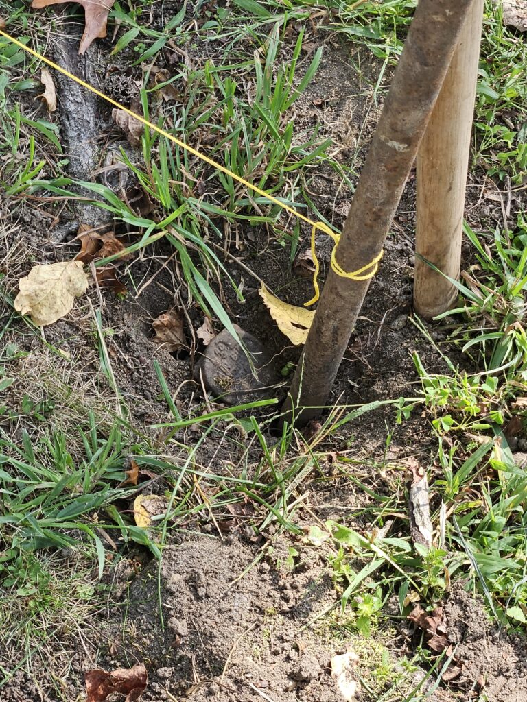 metal detector new jersey, lost lawn sprinkler heads