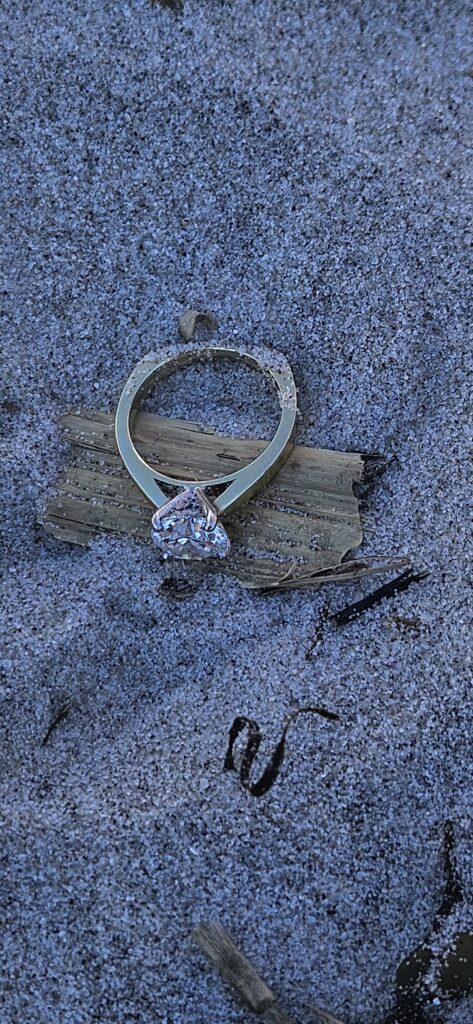 rent a metal detector to find lost ring