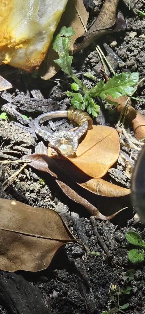 how to find a lost ring in the leaves